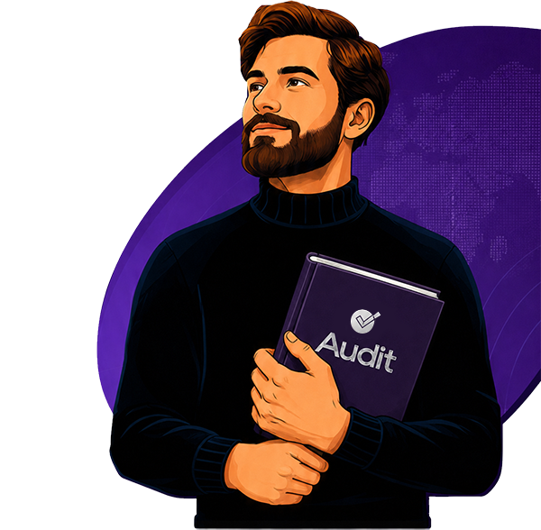 Alludit audit professional